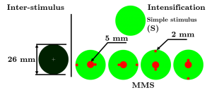 Novel Visual Stimulation for P300-BCI