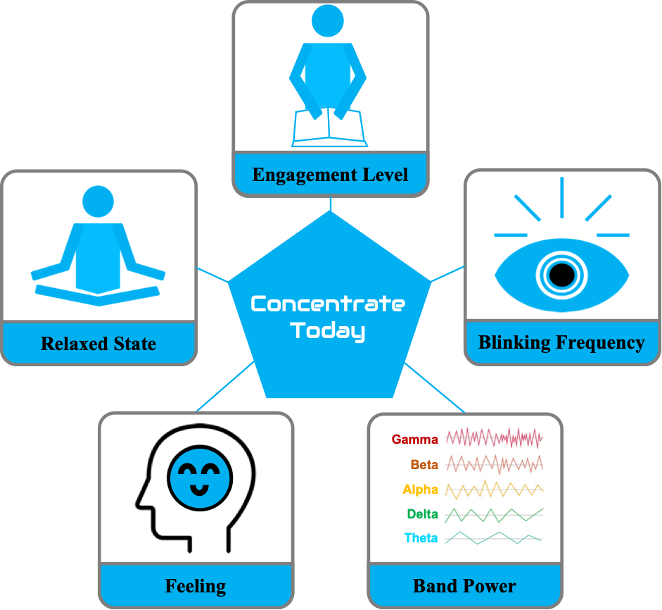 concentration program diagram