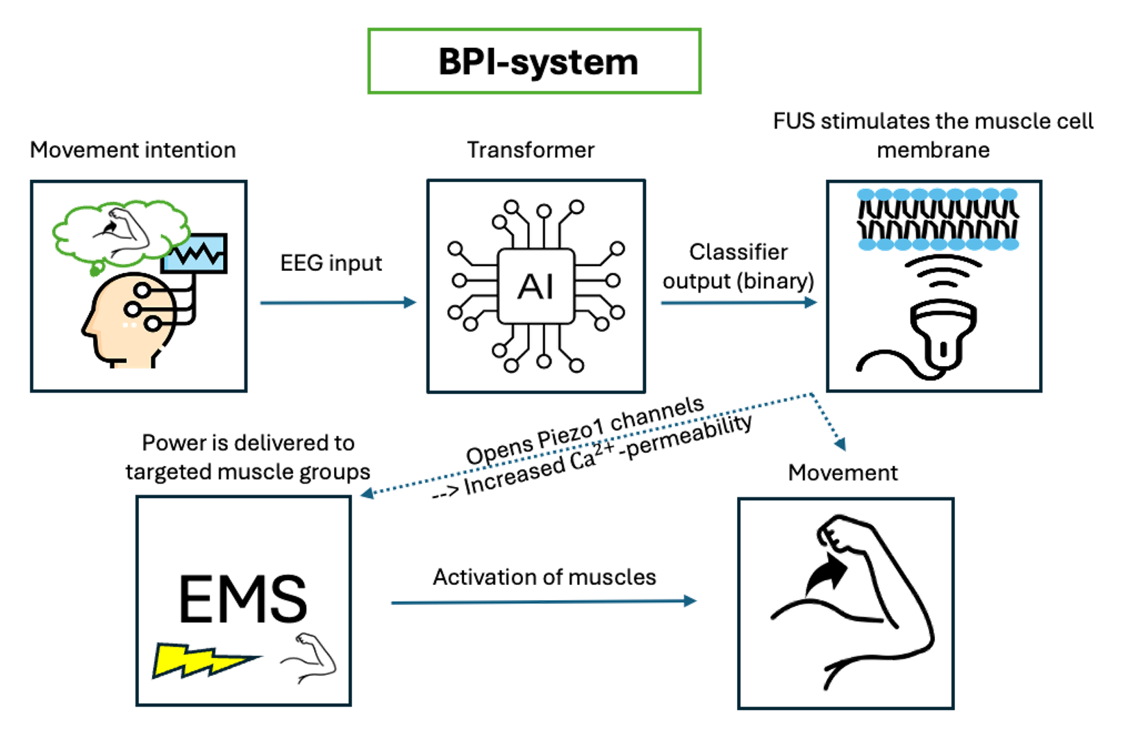 OpenBCI Discovery Program: From Thought to Movement – A Brain ...